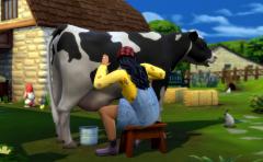 Les-Sims-4-Vie-à-la-campagne-cottage life(16).JPG