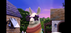 4344AC5F-3B40-49AD-A353-4EB507874C85.png