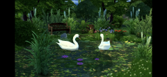 B354D8B8-EE8D-4A81-AFD2-844B7773DBDF.png