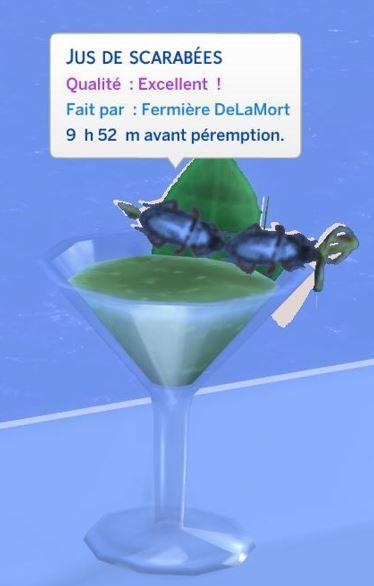 Sims-4-mort-tué-par-des-scarabées (4).JPG