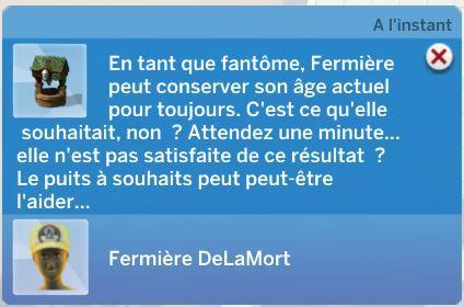 fantome-puits-a-souhait-sims-4.JPG