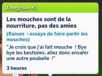 sims-4-mort-essaim-de-mouche1.JPG