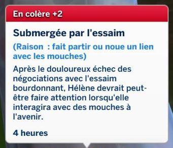 sims-4-mort-essaim-de-mouche2.JPG