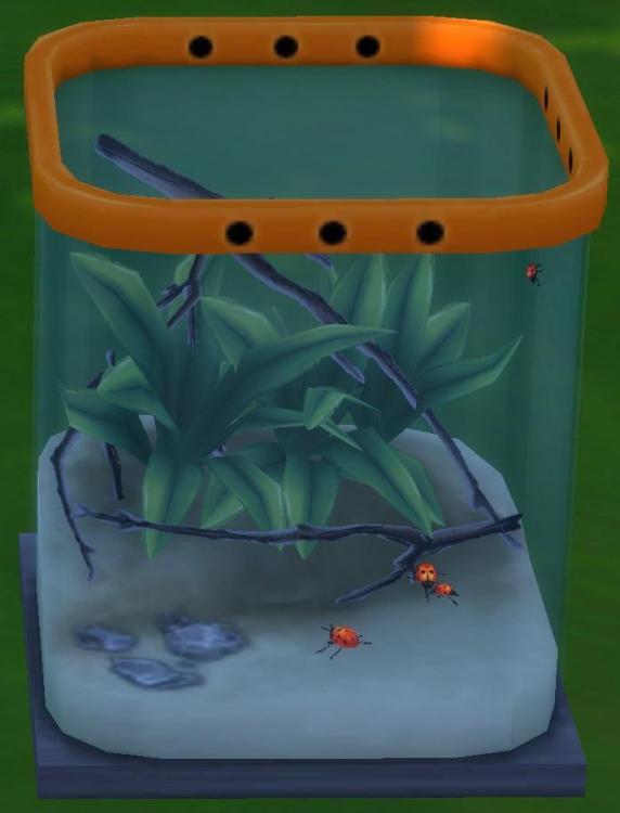 Sims 4 collections insectes coccinelle.jpg