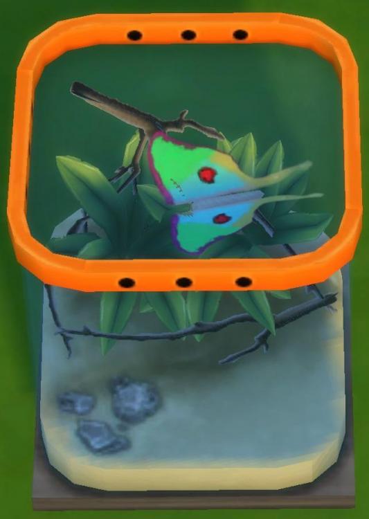 Sims 4 collections insectes papillon lune.jpg
