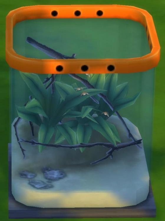 Sims 4 collections insectes moustique.jpg
