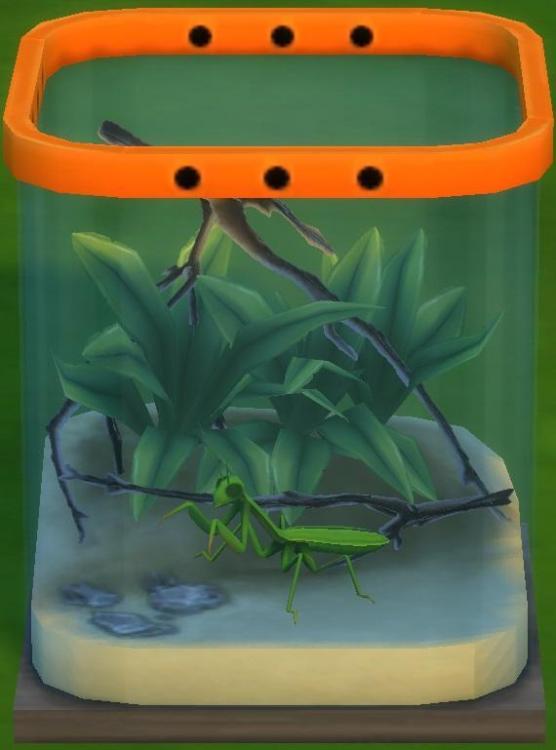 Sims 4 collections insectes mantes religieuse.jpg
