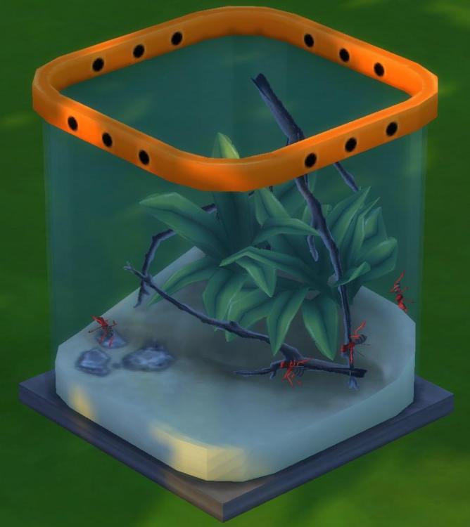 Sims 4 collections insectes fourmi rouge.jpg