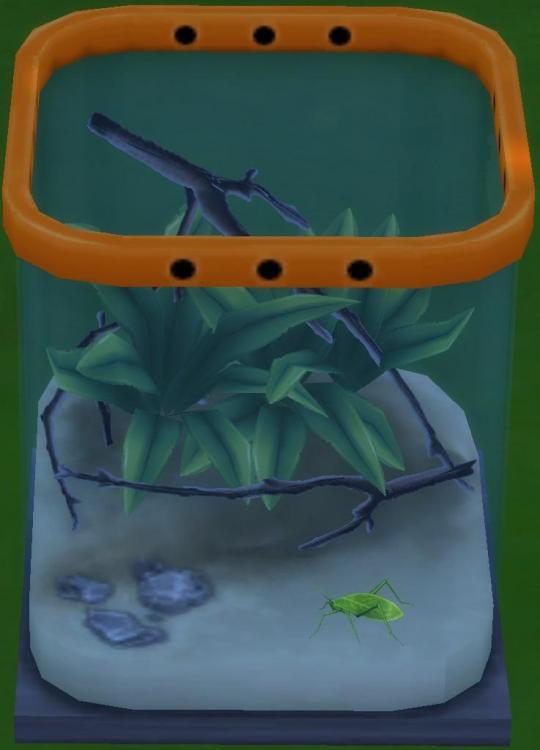 Sims 4 collections insectes sauterelle.jpg