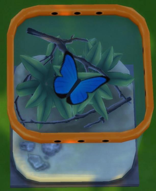 Sims 4 collections insectes papillon morpho bleu.jpg