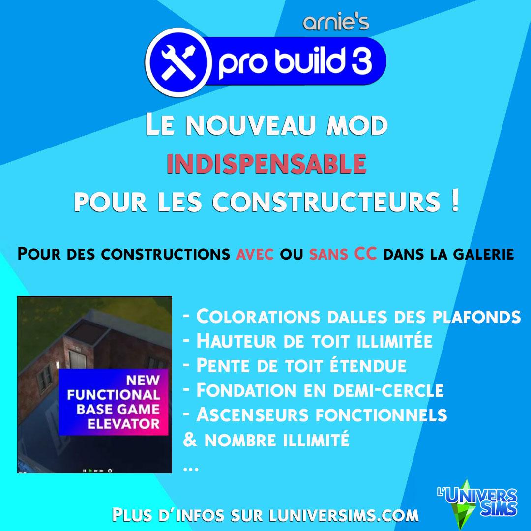 Sims 4 - PRO BUILD 3 - un Mod by Arnie
