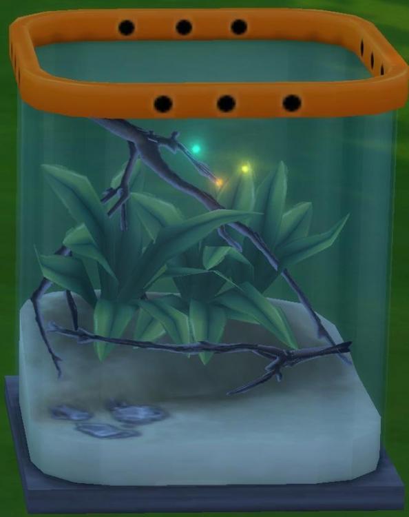 Sims 4 collections insectes luciole arc-en-ciel.jpg
