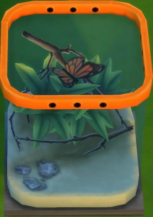 Sims 4 collections insectes papillon monarque.jpg