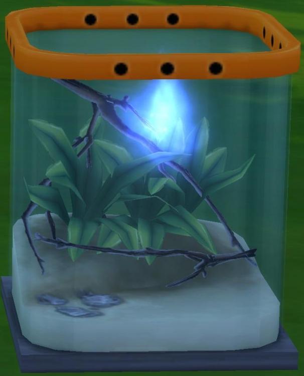 Sims 4 collections insectes feu follet.jpg