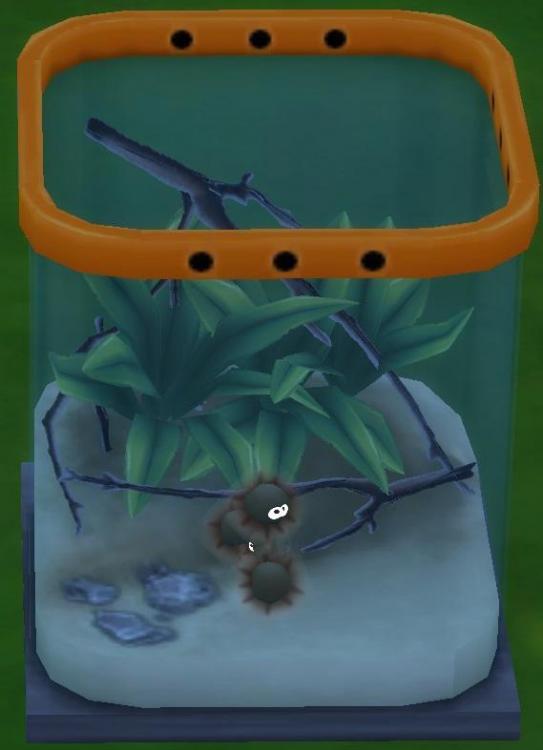 Sims 4 collections insectes grisâtre.jpg