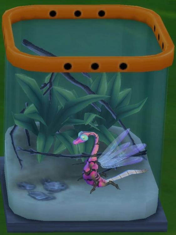 Sims 4 collections insectes luciole dragon.jpg
