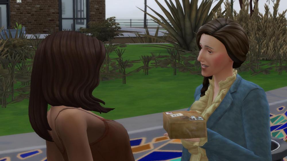 Sims 4 collections boule à neige échange 3.jpg