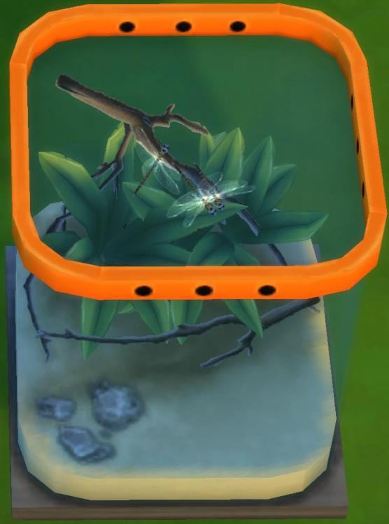 Sims 4 collections insectes libellule.jpg