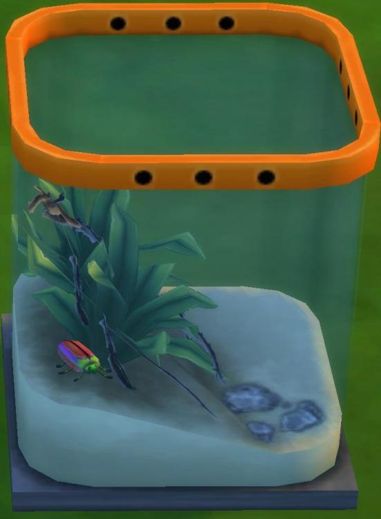Sims 4 collections insectes scarabée buprestidae.jpg