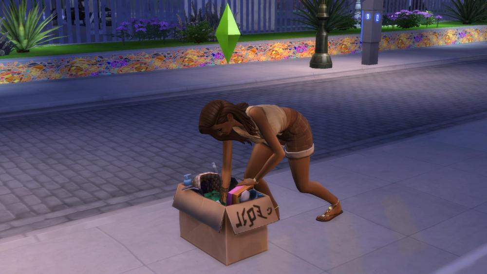 Sims 4 collections boule à neige récolte.jpg