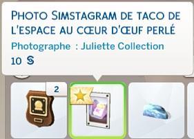 Sims 4 collections Photo de nourritures expérimentales inventaire.jpg