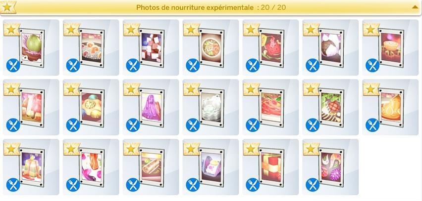 Sims 4 collections Photo de nourritures expérimentales catalogue.jpg