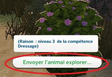 Sims 4 collections plumes buisson interaction.jpg