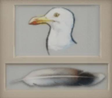 Sims 4 collections plumes goéland.jpg