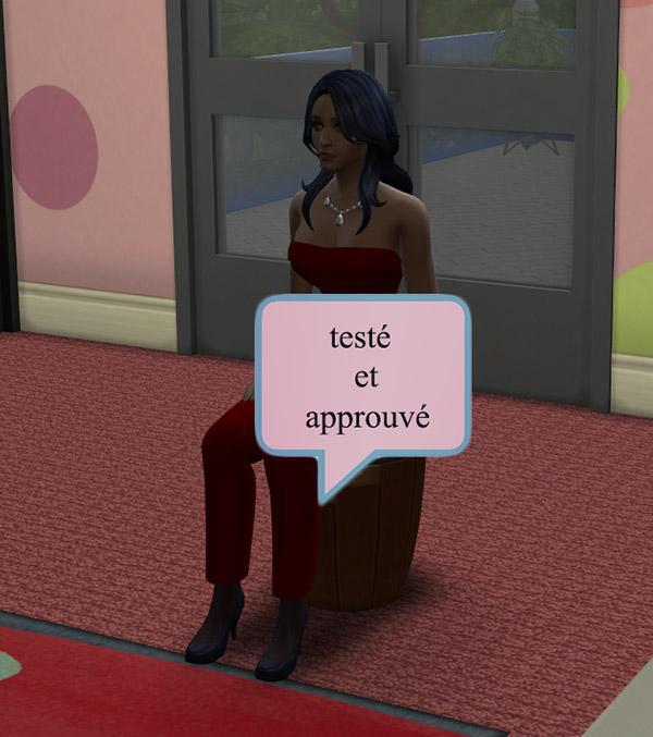 PATASIMNIA AVENTURIER.jpgtest en jeu Luniversims©04.22.jpg