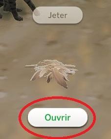 Sims 4 collections plumes ouvrir plume.jpg