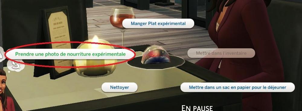 Sims 4 collections Photo de nourritures expérimentales prendre une photo.jpg