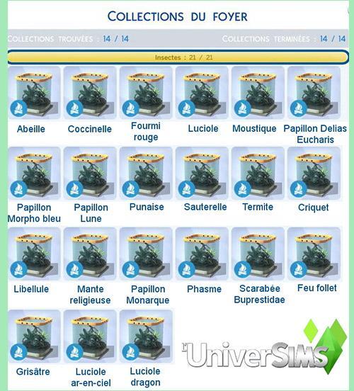 insectes outdoor luniversims.jpg