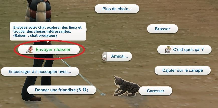 Sims 4 collections plumes envoyer chasser.jpg