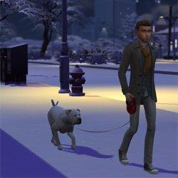 dogwalkersinotherworlds Bienchen.jpg