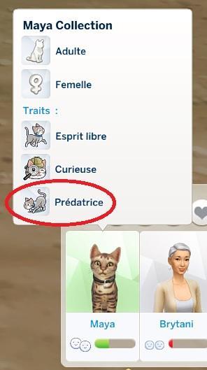 Sims 4 collections plumes prédateur.jpg