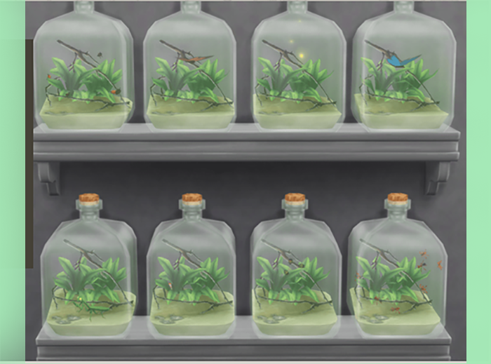 jarre insectes brazenlotus.png