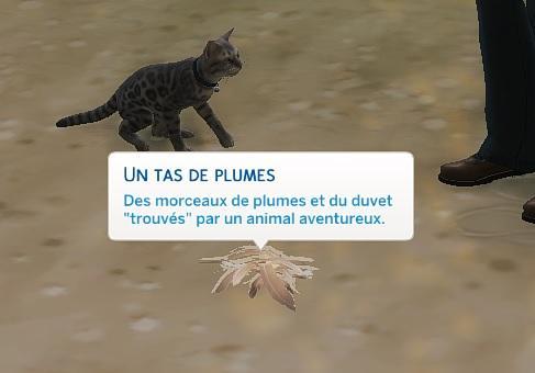 Sims 4 collections plumes tas de plume 2.jpg