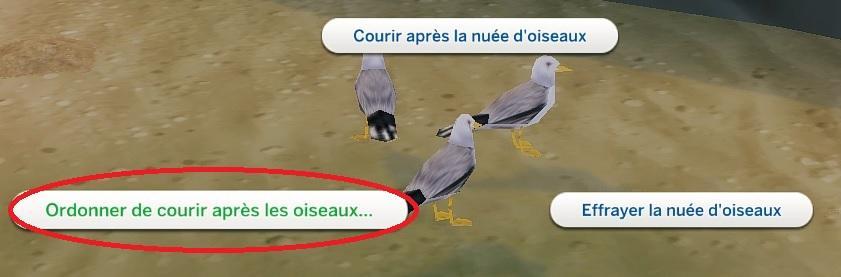 Sims 4 collections plumes nuée d'oiseaux.jpg