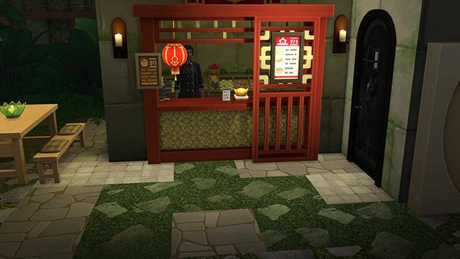 chinois3.jpg