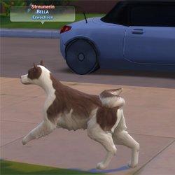 sims4me_somecatanddogstraysinotherworlds.jpg