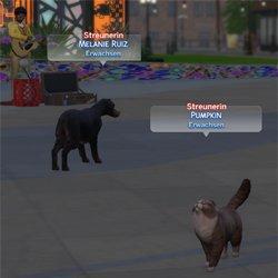 sims4me_straycatsanddogsincitylifeworlds.jpg