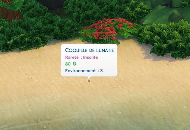 Sims 4 collections coquillages coquillage de lunatie sur plage.jpg