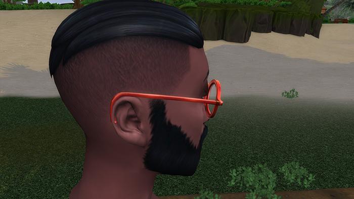 Roro sur son plus beau profil.jpg