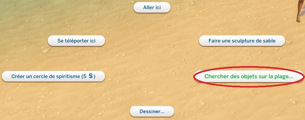 Sims 4 collections coquillages chercher des objets sur la plage.jpg