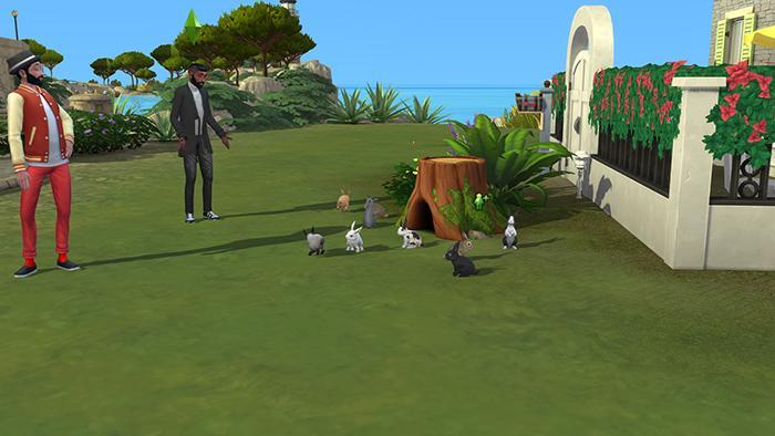 Roro et Jojo parlent avec les lapins.jpg