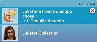 Sims 4 collections coquillages coquillage notif.jpg