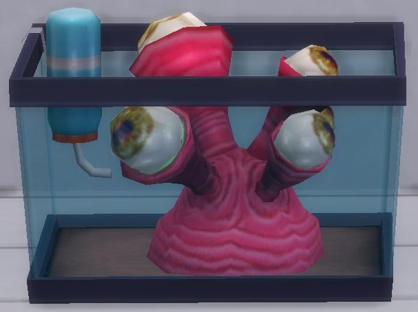 Sims 4 collections extraterrestres Corail rouge vivant.jpg