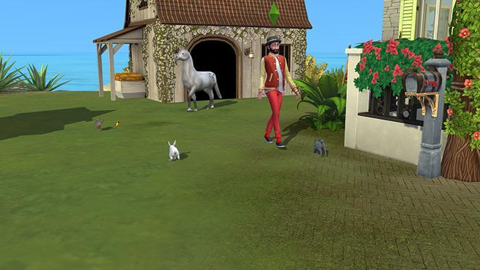 Jojo et le cheval.jpg