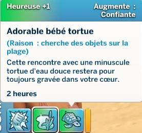 Sims 4 collections coquillages sentiment bon 1.jpg