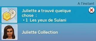 Sims 4 collections coquillages trésor de sulani.jpg